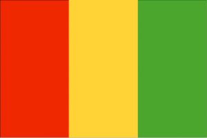 Guinea Flag