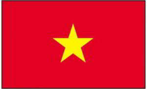 Vietnam Flag